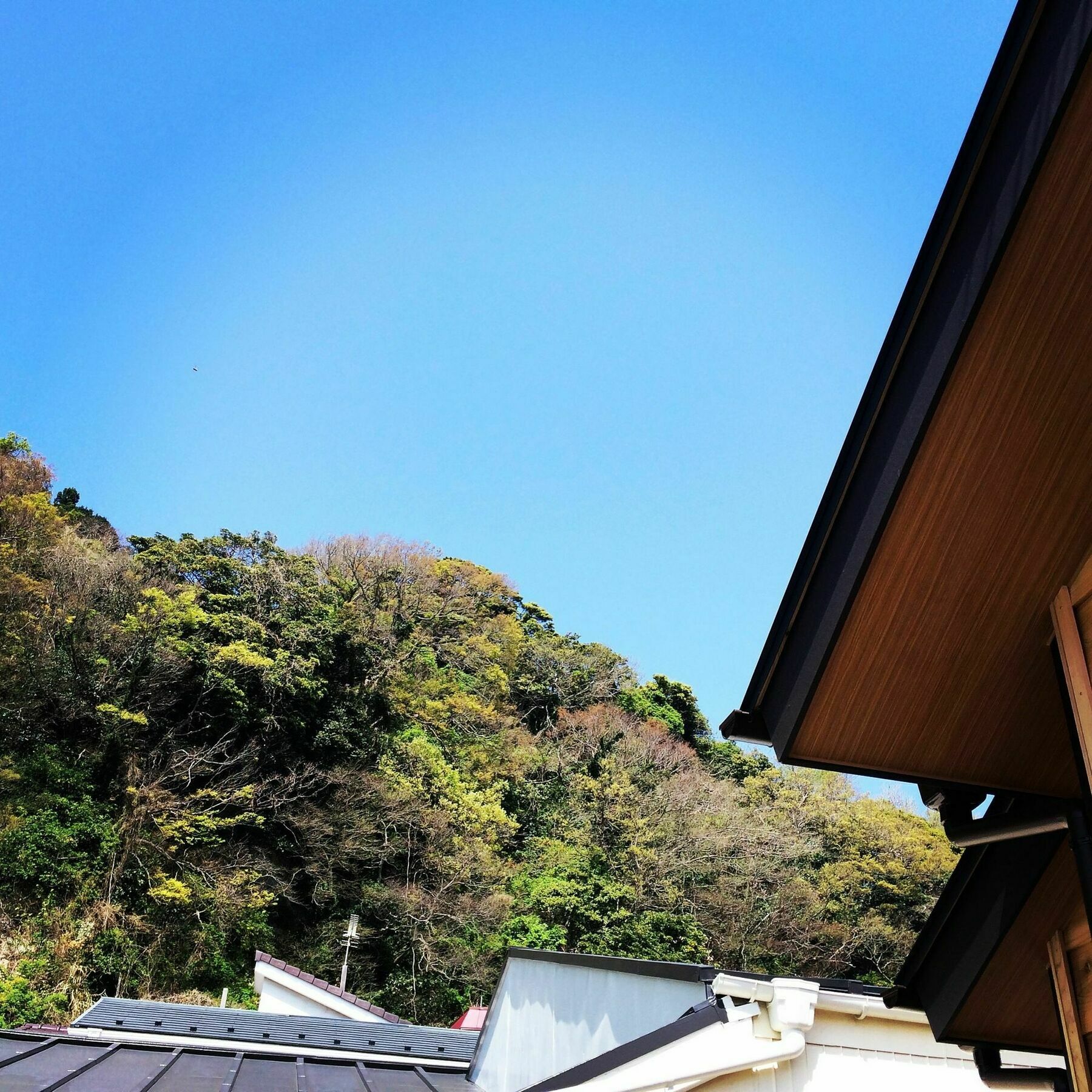 Guest House Kamakura Zen-Ji Εξωτερικό φωτογραφία